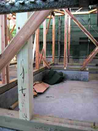 Primary Structure