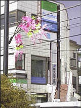 special ohanami