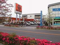 Autobacs, the auto parts store.