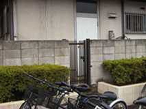 Back gate fence.