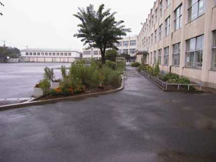 Elementary school grounds are empty during summer vacation. Elementary school playground.