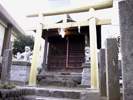new torii gate