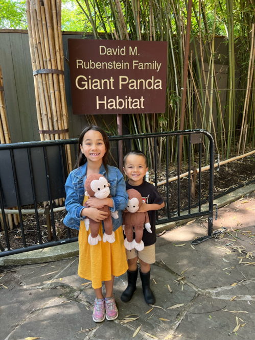 Monkeys at the Zoo