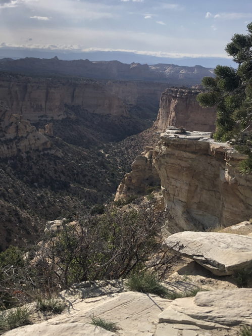 The Green canyons
