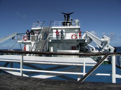 Birding from deck 6 and 7