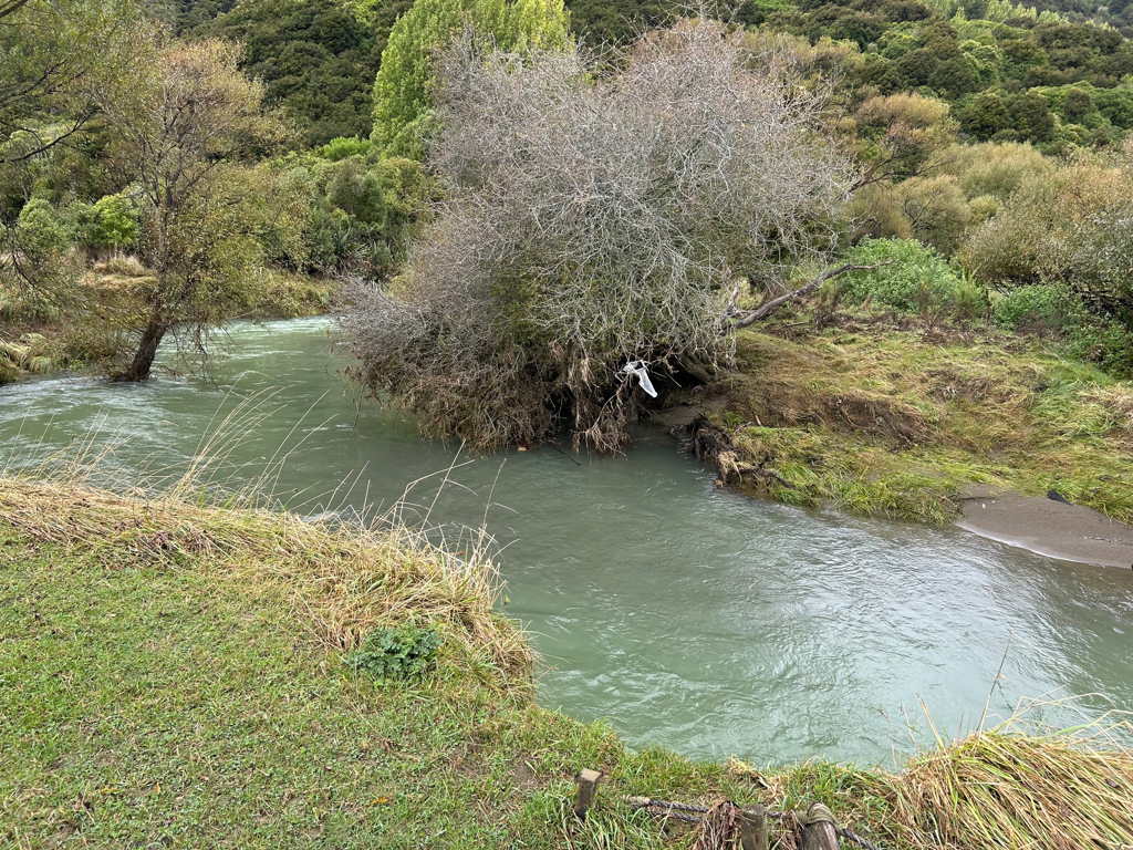 20250406Wakapuaka01R