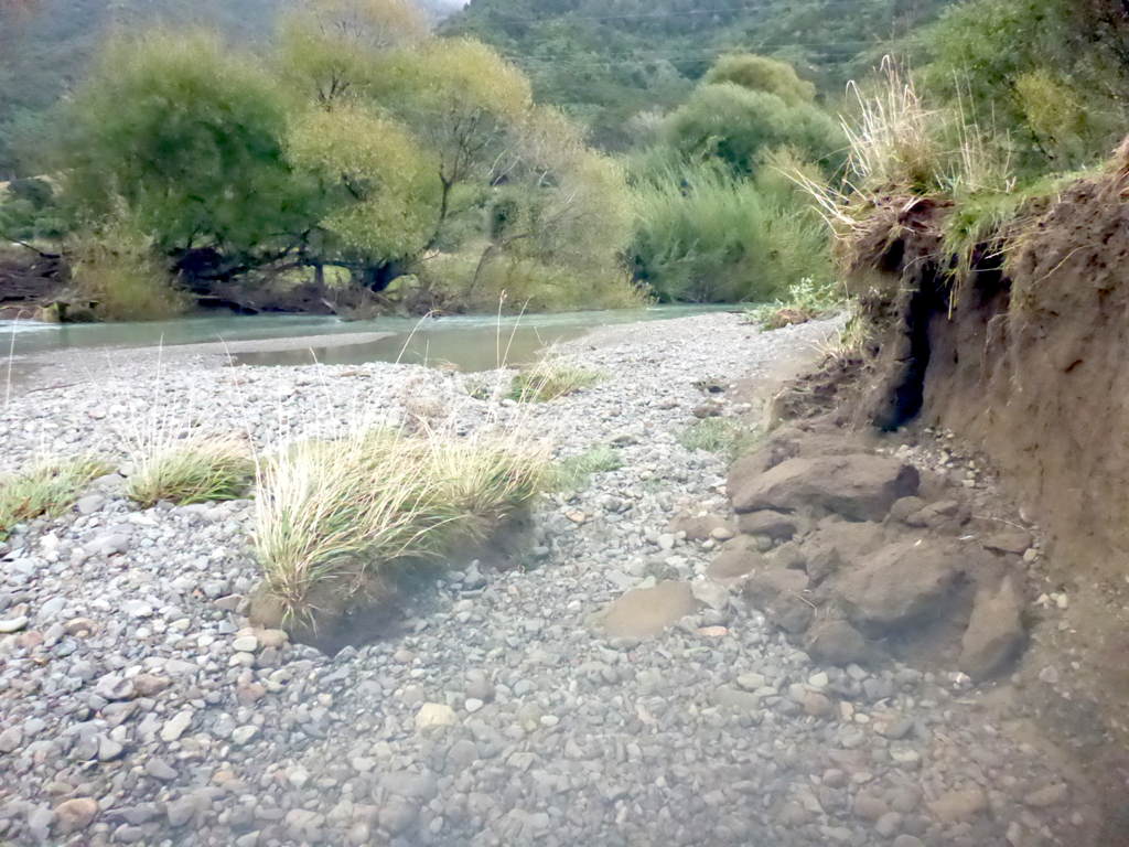 20250406Wakapuaka02R